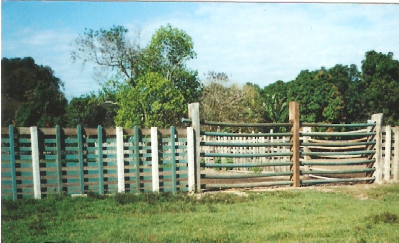 talanquera puerta tranca pasillos instalaciones de ganado corral encierro ganadería corrales ganaderos manejo de portón barreras estacas portones pasaje encerramientos establecimiento 0003 talanquera puerta tranca pasillos instalaciones de ganado corral encierro ganadería corrales ganaderos manejo de portón barreras estacas portones pasaje encerramientos establecimiento 0003 talanquera puerta tranca pasillos instalaciones de ganado corral encierro ganadería corrales ganaderos manejo de portón barreras estacas portones pasaje encerramientos establecimiento 0003